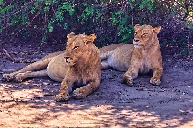 Chobe Botswana Day Trip River and Land Safari from Victoria Falls - Who will enjoy this Chobe day trip most