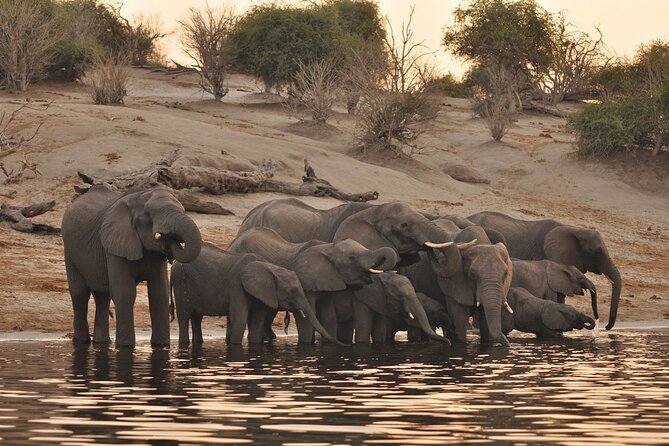 Chobe Day Trip - Why Chobe Works as a Day Trip from Victoria Falls