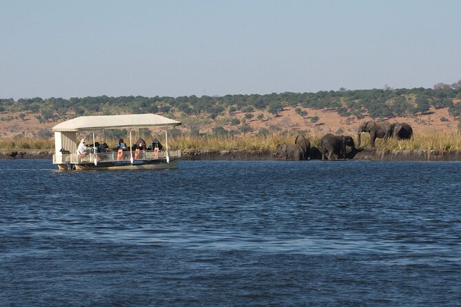 Chobe Day Trip - Kasane and the Chobe River