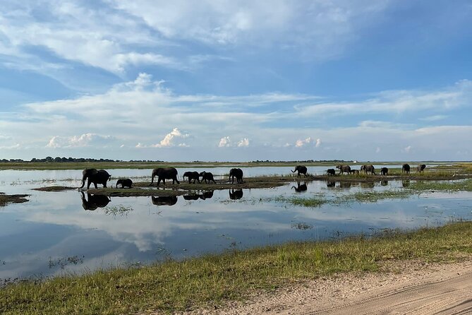 Chobe Day Trip from Victoria Falls - Three hours on the Chobe River
