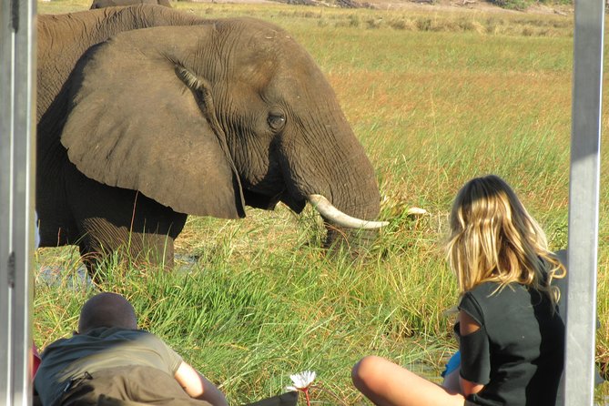 Chobe Day Trip from Victoria Falls, Zimbabwe - The Chobe National Park game drive