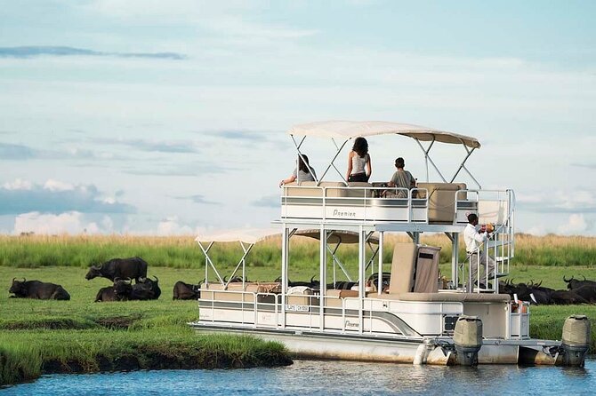 Chobe Day Trip from Victoria Falls, Zimbabwe - Timing, comfort, and practical packing