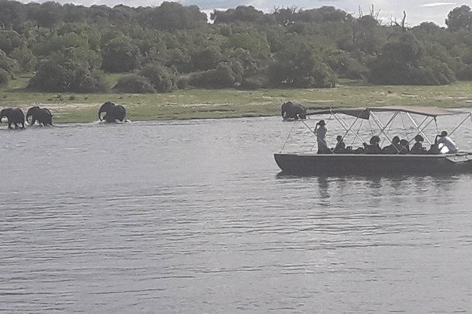 Chobe Day Trip Starting From Victoria Falls - Who will enjoy this Chobe safari most