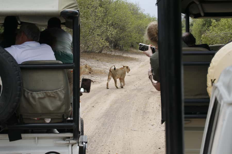 Chobe Extended Day Trip - Why the 5 a.m. start matters