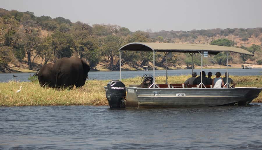 Chobe Extended Day Trip - The return to Victoria Falls