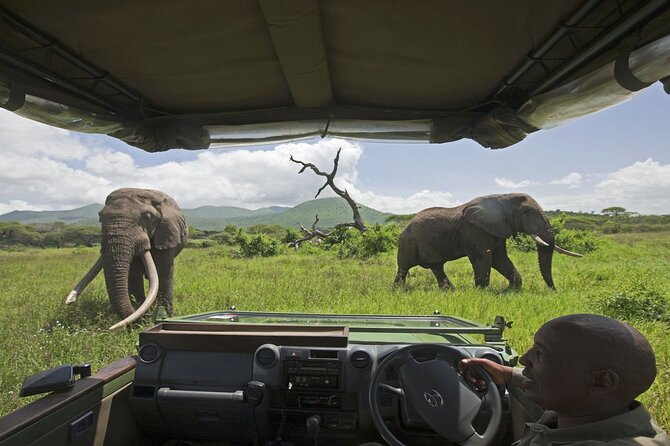 Chobe Extended Day Trip from Victoria Falls - Small Group - The 5:30 AM pickup and drive into Botswana