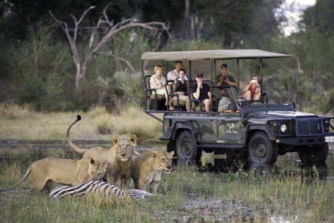 Chobe Extended Day Trip from Victoria Falls - Zimbabwe - Key points at a glance