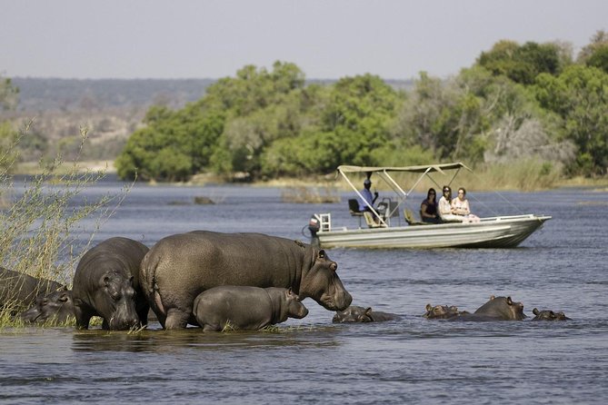 Chobe Extended Day Trip from Victoria Falls - Zimbabwe - Why the 5 a.m. start matters