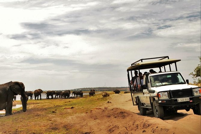 Chobe Extended Day Trip from Victoria Falls - Zimbabwe - What $265 buys you