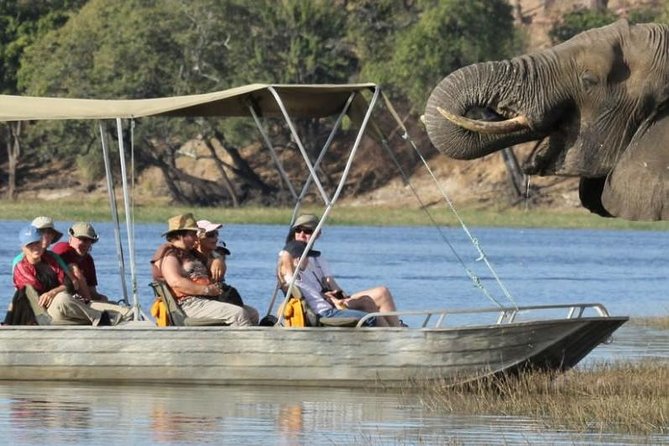 Chobe Extended Day Trip from Victoria Falls - Zimbabwe - Crossing into Botswana from Victoria Falls