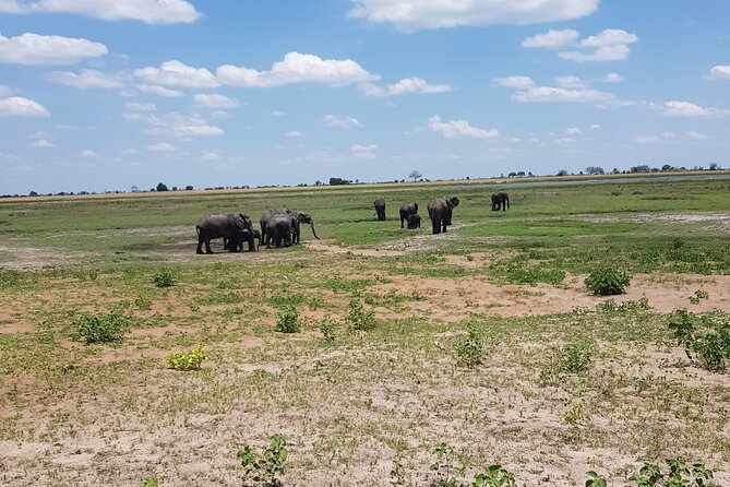Chobe Full Day Safari in Chobe - Why Chobe works so well from Victoria Falls