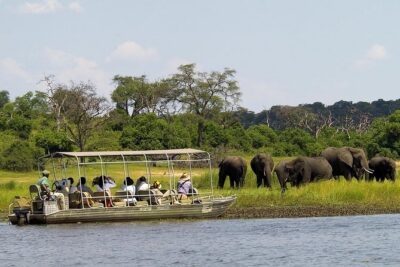 Chobe Full Day Safari Trip