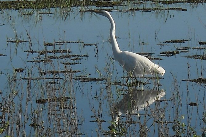 Chobe Full Day Safari Trip - What the $180 price really covers