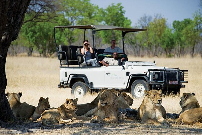 Chobe Full day Safari with Victoria falls Sunrise Tour Combo - Why this combo works for a short Victoria Falls stay