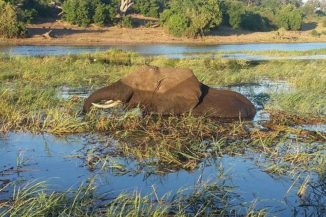 Chobe Full day Safari with Victoria falls Sunrise Tour Combo - What the $230 price really covers
