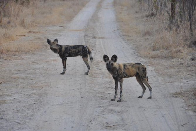 Chobe Full day Safari with Victoria falls Sunrise Tour Combo - 5:45am at Victoria Falls