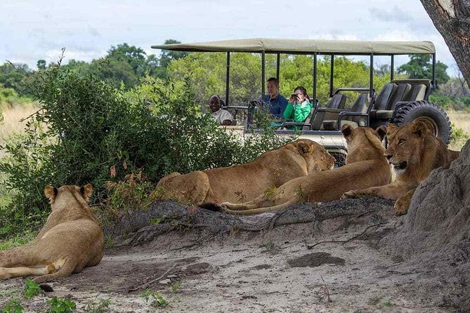 Chobe Full Day Trip From Victoria Falls - Why Chobe Works as a Day Trip from Victoria Falls