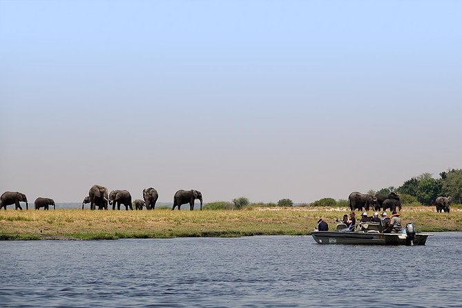 Chobe Full Day Trip From Victoria Falls - The 7:00 am Pickup and the Road to Botswana