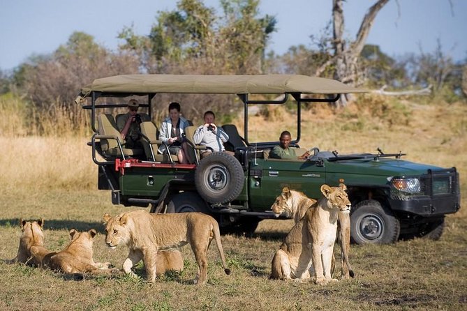Chobe Full Day Trip From Victoria Falls - Passports, Visas, and Children’s Documents