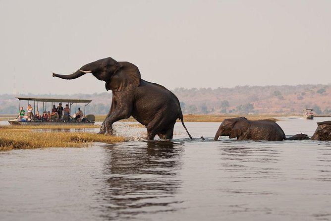 Chobe Full Day Trip From Victoria Falls - Buffet Lunch at the Midday Break