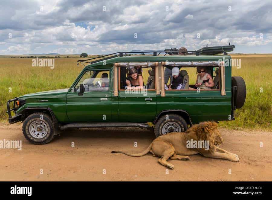 Chobe Half Day Trip from Victoria Falls - Key points to know before you book