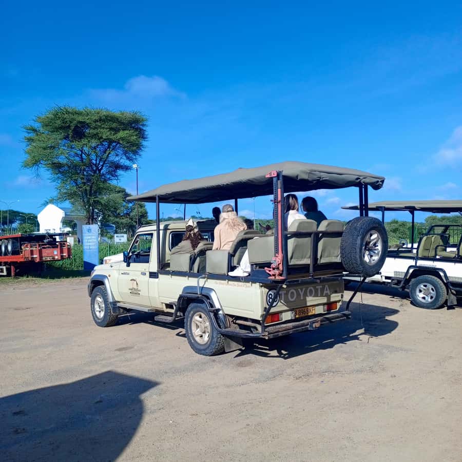 Chobe Half Day Trip from Victoria Falls - Border documents for children under 18