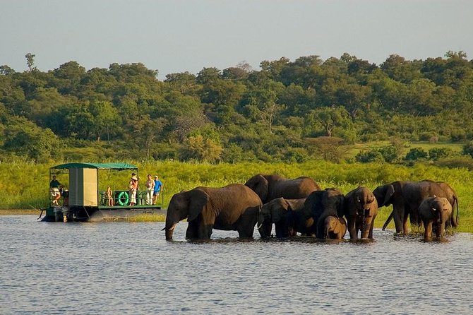 Chobe National Park 4X4 Day Safari and River Cruise - Two Parks, Two Ways to See Wildlife