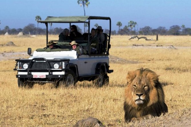 Chobe National Park 4X4 Day Safari and River Cruise - Three Hours Along the Chobe River