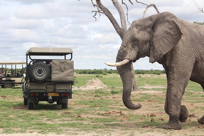 Chobe National Park Day Trip from Victoria Falls with Lunch - Key points before you book