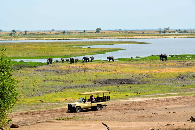Chobe National Park Day Trip from Victoria Falls with Lunch - The Chobe River cruise comes first