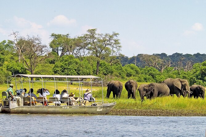 Chobe National Park Day Trip from Victoria Falls with Lunch - The afternoon 4x4 game drive follows the waterfront