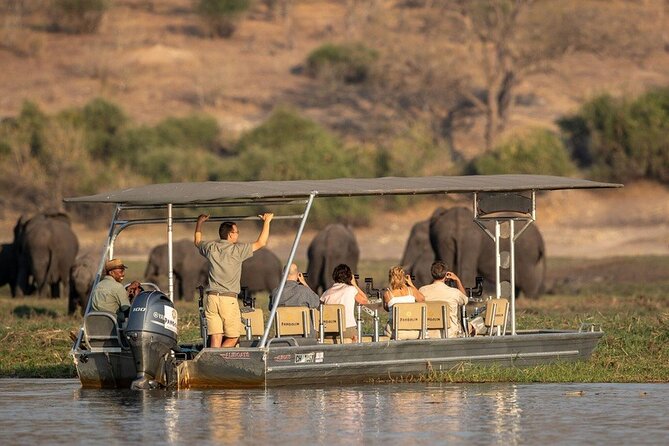 Chobe National Park Day Trip from Victoria Falls with Lunch - The 7:00 am departure and Kazungula Border