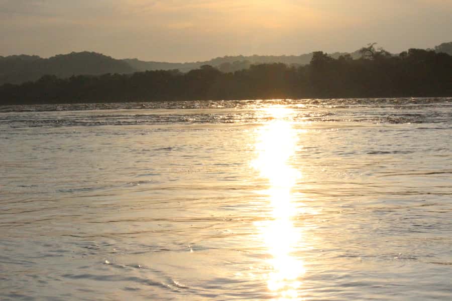 Chobe National Park: Game Drive, Boat Tour, and Lunch - Afternoon wildlife viewing from the Chobe River