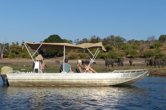 Chobe Sunrise upto Sunset Day trip from Victoria Falls 5AM - 7PM - Chobe by safari vehicle