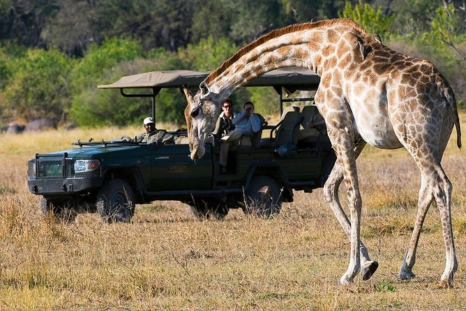 Chobe Sunrise upto Sunset Day trip from Victoria Falls 5AM - 7PM - Who will enjoy this Chobe day trip