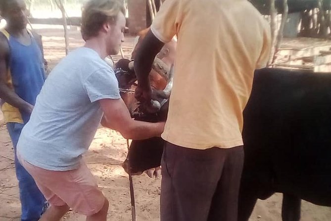 Cultural Village Tour,Interacting With the Communal Villagers (Educational Trip) - What $35 means for the value