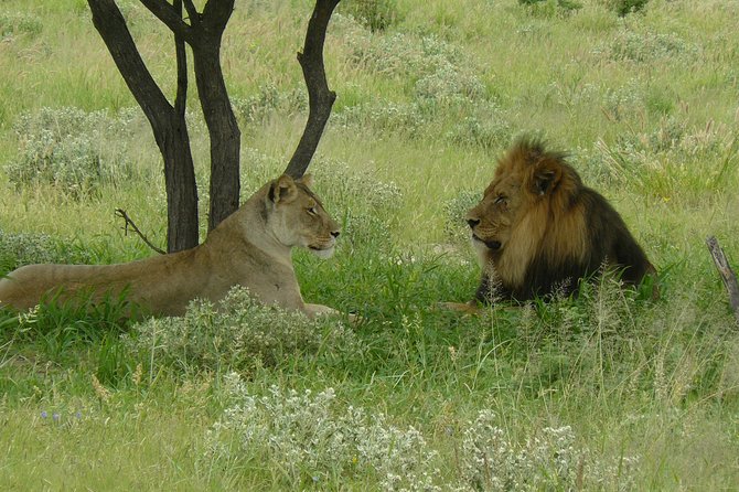 Exclusive full day Chobe game drive safari - The 5:00 AM pickup from Victoria Falls