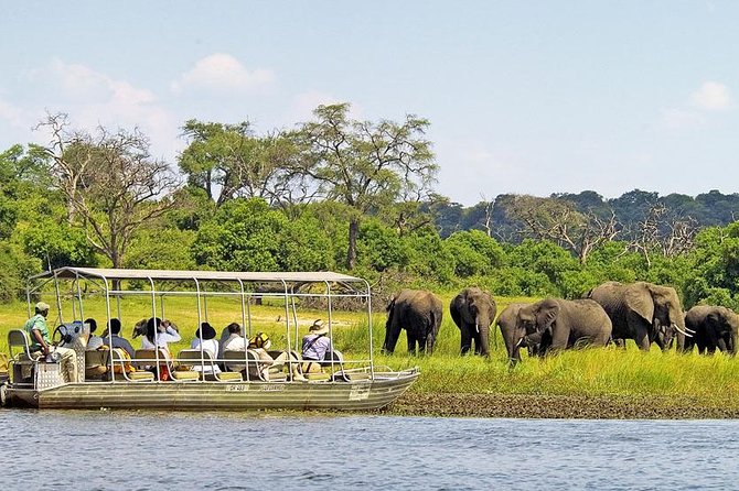 Explore Chobe National Park With a Day Trip from Victoria Falls - Key points to know before you book