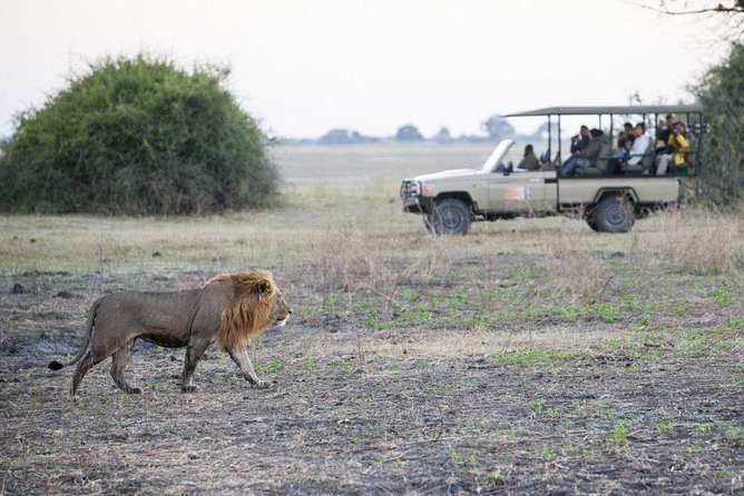 Explore Chobe National Park With a Day Trip from Victoria Falls - Why Chobe makes sense from Victoria Falls
