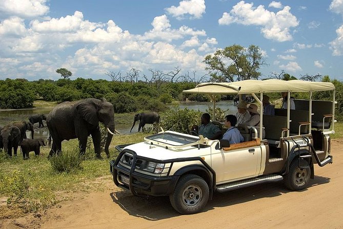 Explore Chobe National Park With a Day Trip from Victoria Falls - Lunch and the midday break