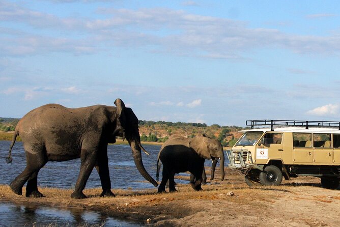 Explore Chobe National Park With a Day Trip from Victoria Falls - Is $217 a fair price?