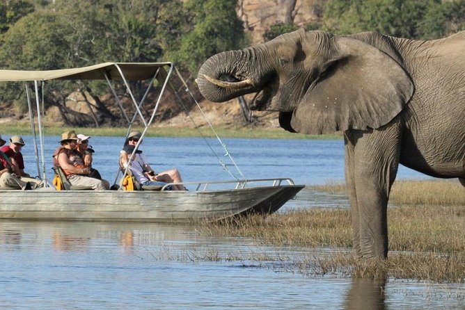 Explore Chobe National Park With a Day Trip from Victoria Falls - The 7:00 am departure and the Zimbabwe-Botswana border
