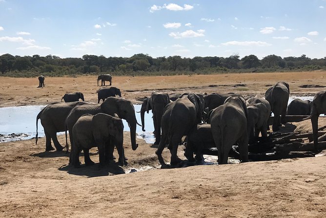 Five-Day Hwange NP, Chobe NP and Victoria Falls Combo - Key points to know before booking