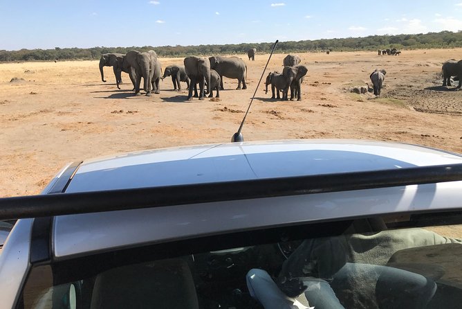 Five-Day Hwange NP, Chobe NP and Victoria Falls Combo - What the Chobe combination adds