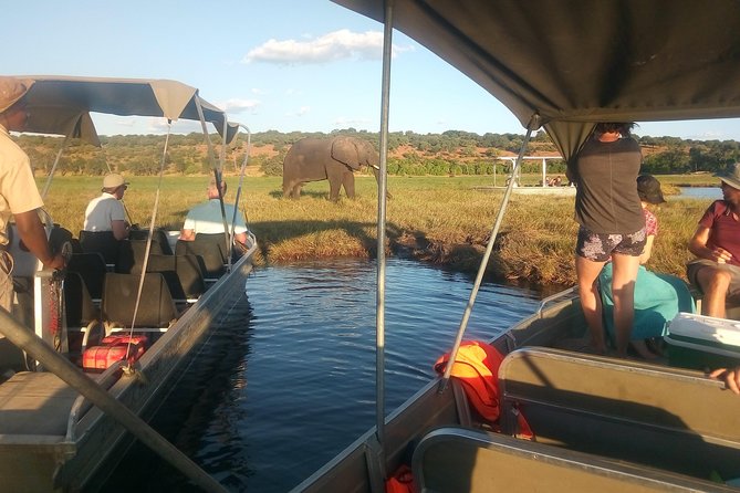 From Victoria Falls: Chobe National Park Small Group Tour - The small-group setup needs careful reading