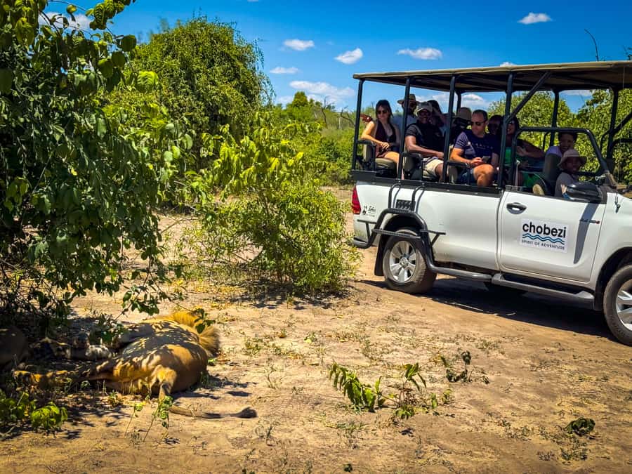 From Victoria Falls: Full Chobe Day trip to Chobe, Botswana - What the US$229 price really covers