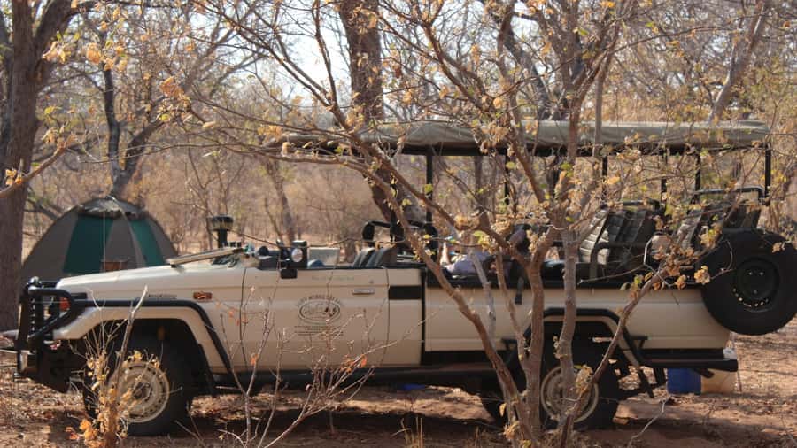 From Victoria Falls: Sunrise to Sunset Chobe Safari - Crossing from Zimbabwe into Botswana