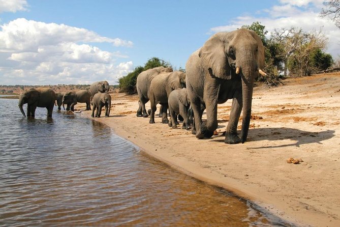 Full Day Chobe National Park Big 5 Safari - Lunch and the Shape of the Day
