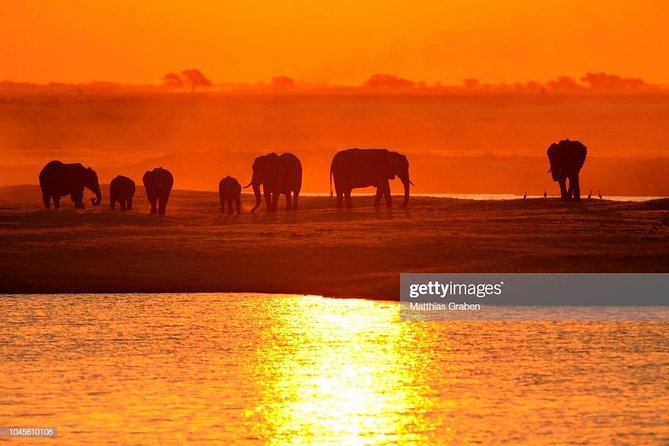 Full Day Chobe National Park Big 5 Safari - Crossing from Victoria Falls into Chobe