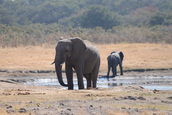 Full Day Chobe Trip with Lunch - Lunch as the midday pause